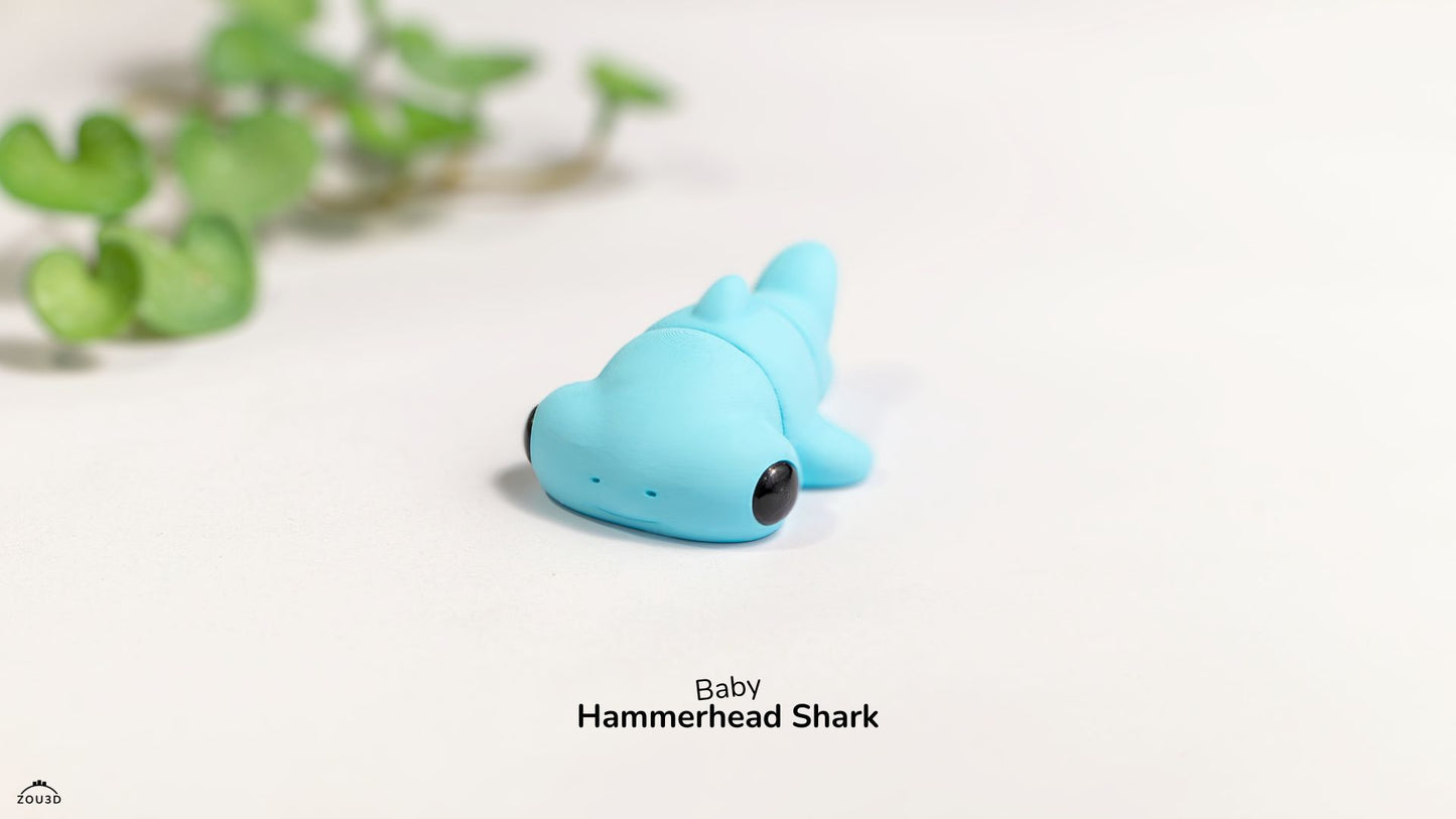 Hammer Head Shark