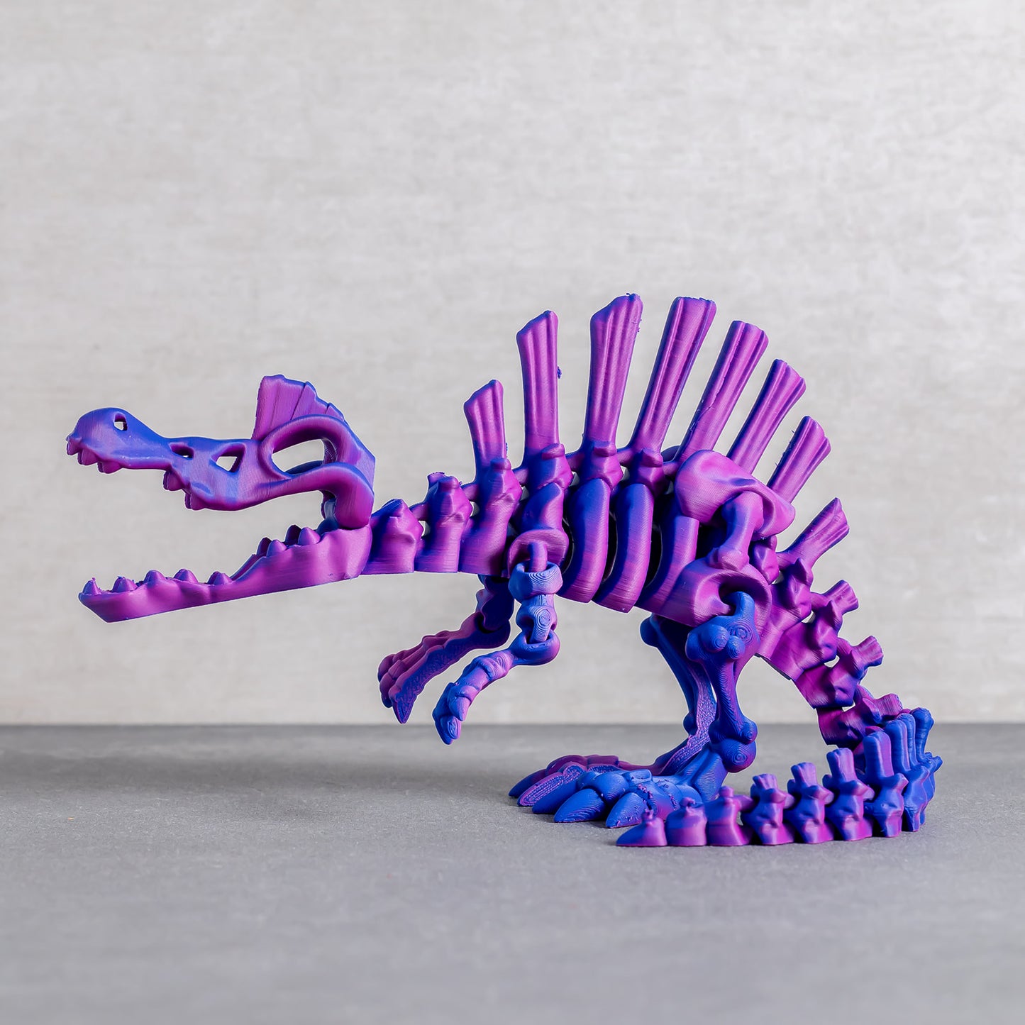 Flexi Spinosaurus Skeleton
