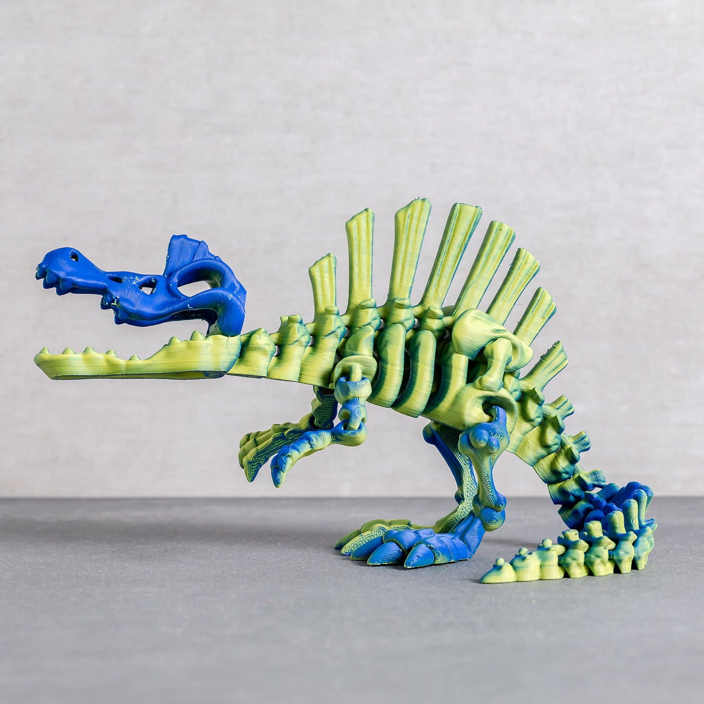 Flexi Spinosaurus Skeleton