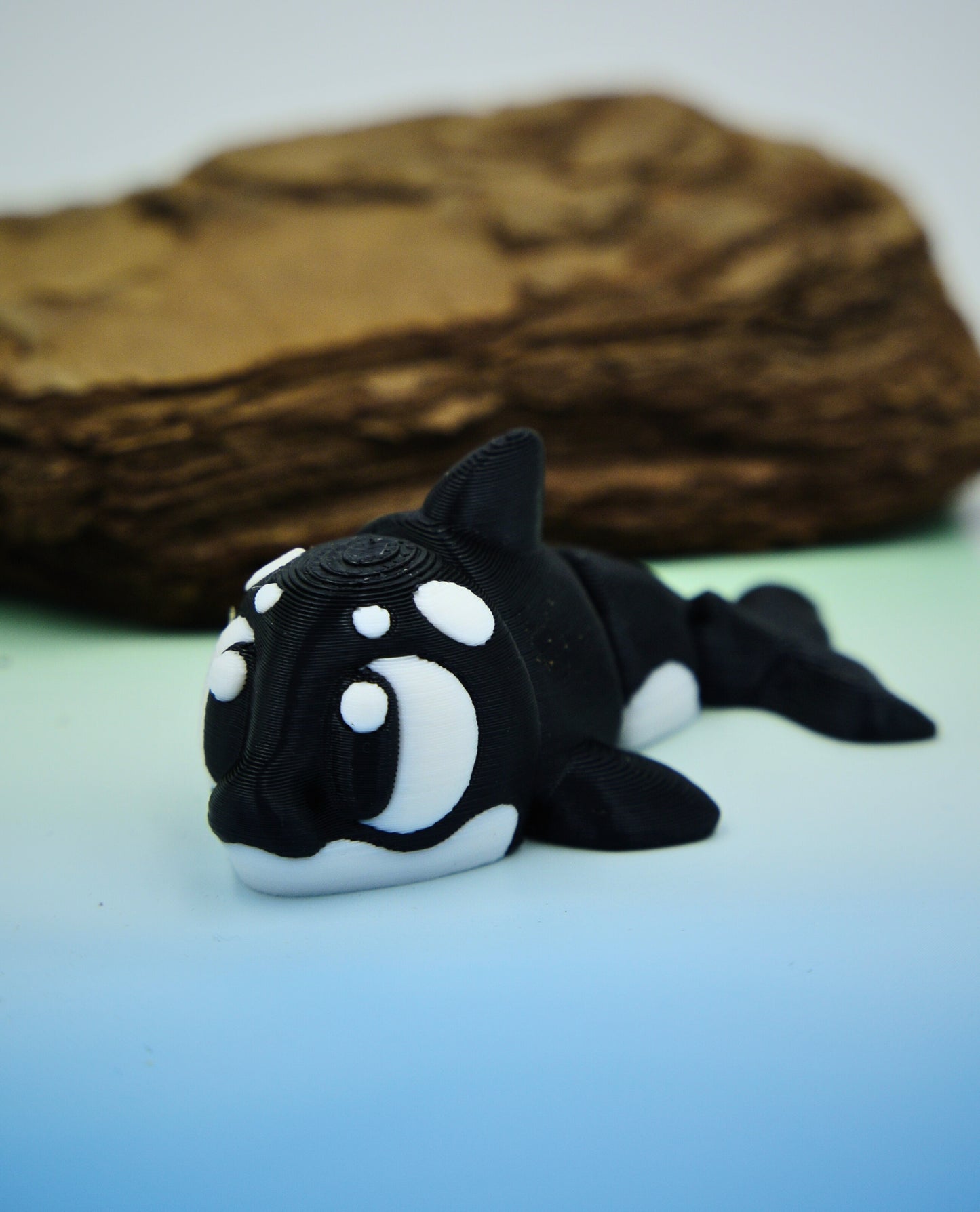Orca Friendz