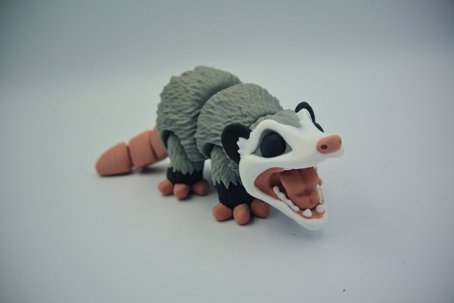 Opposum