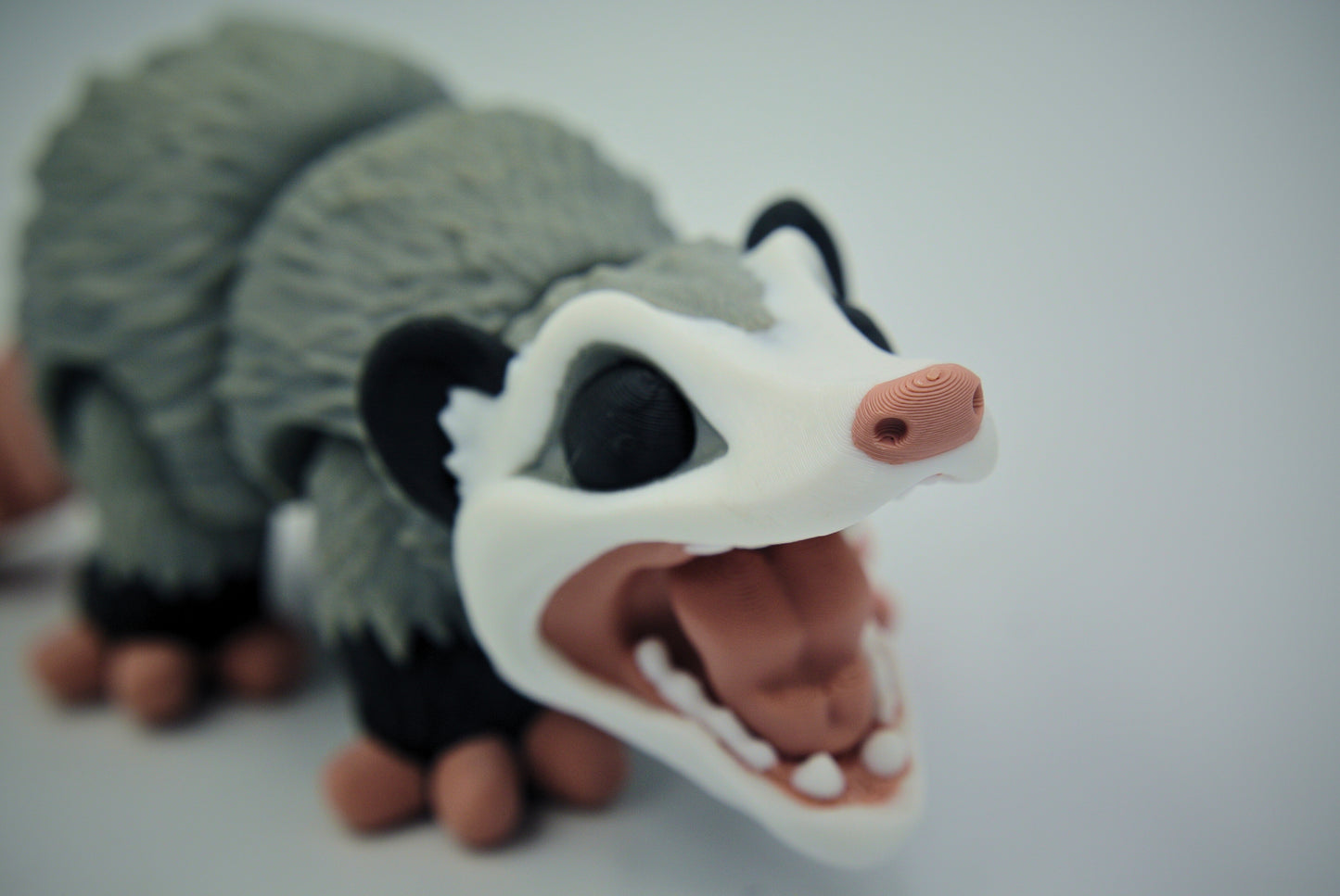 Opposum
