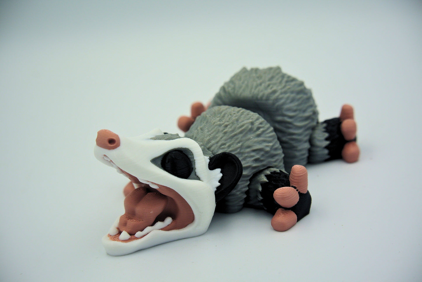 Opposum
