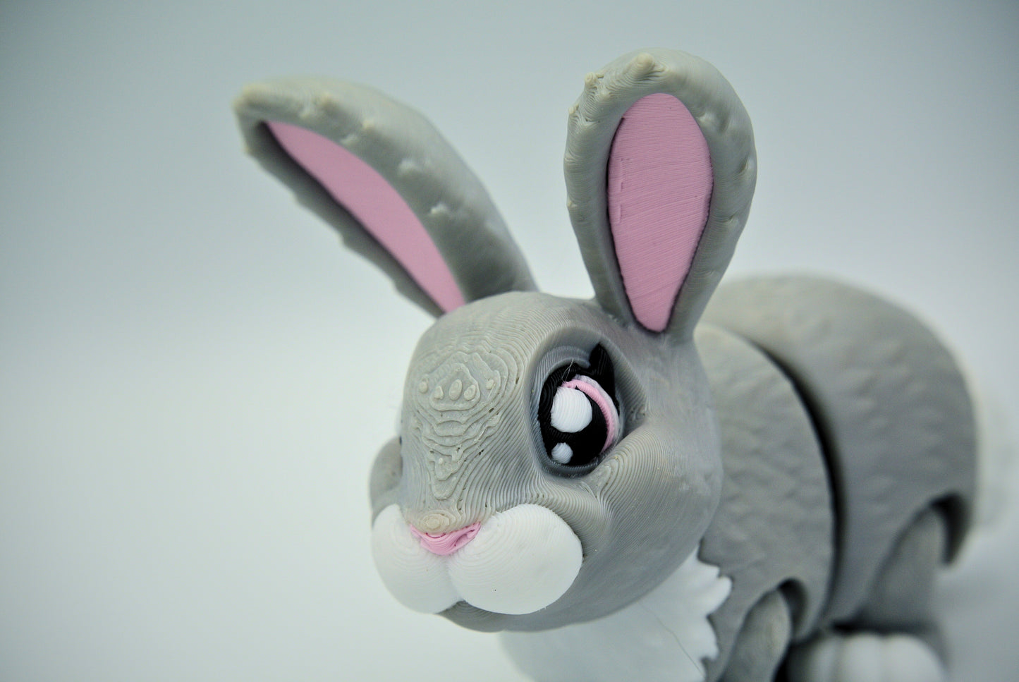 Bunny