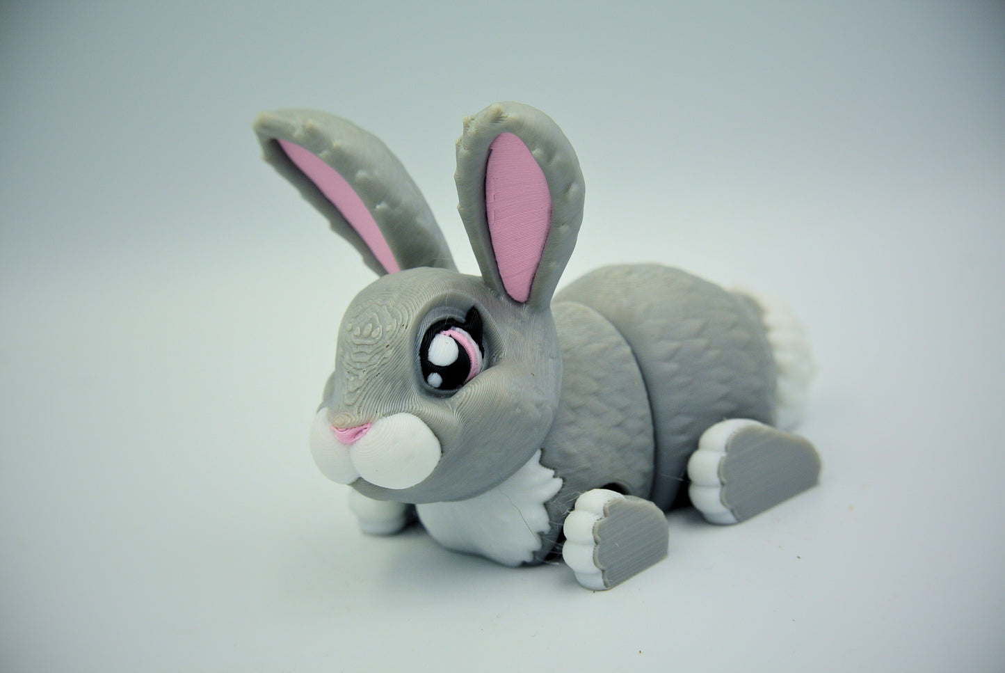 Bunny