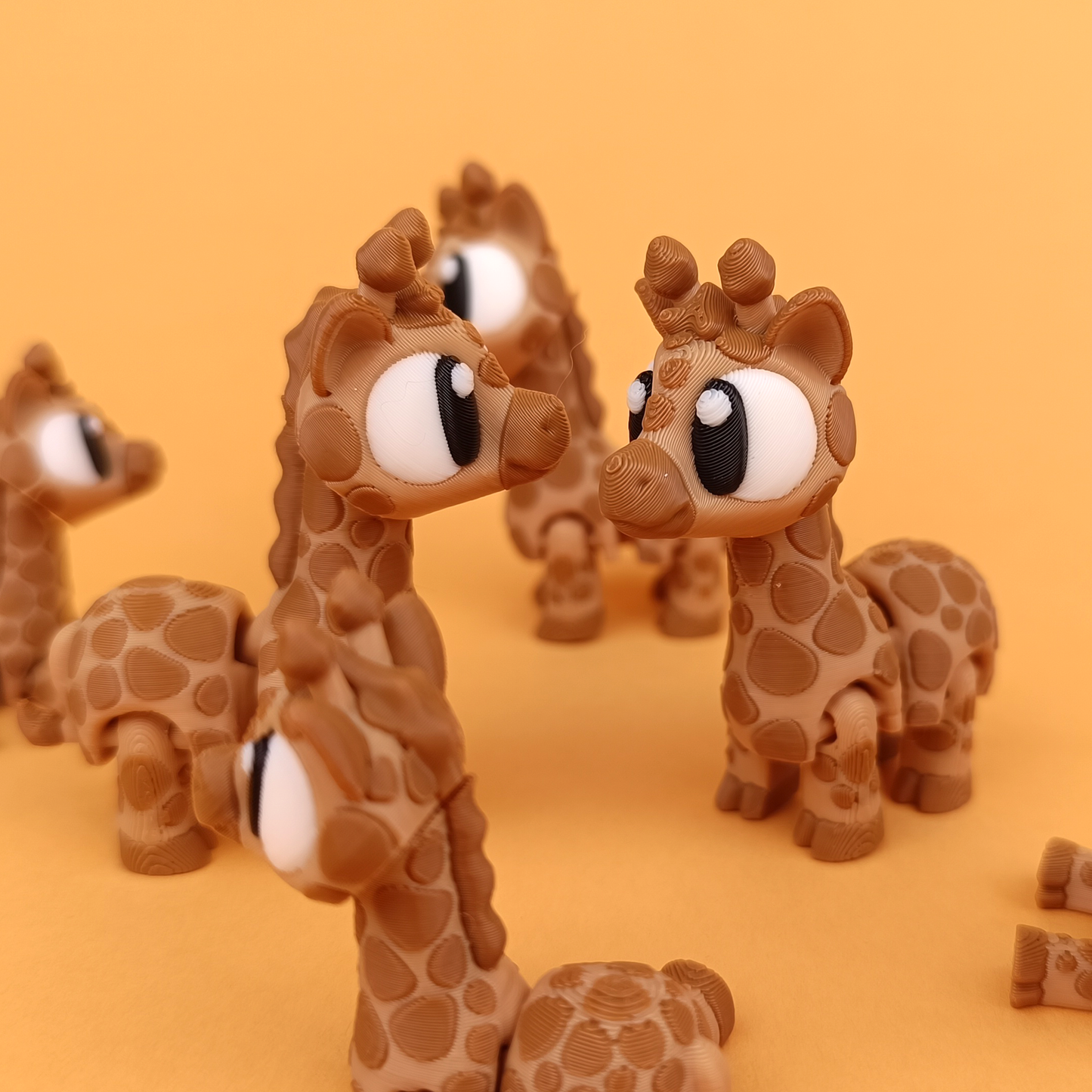 Safari Friendz