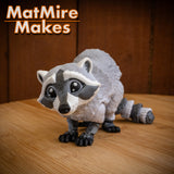 Raccoon