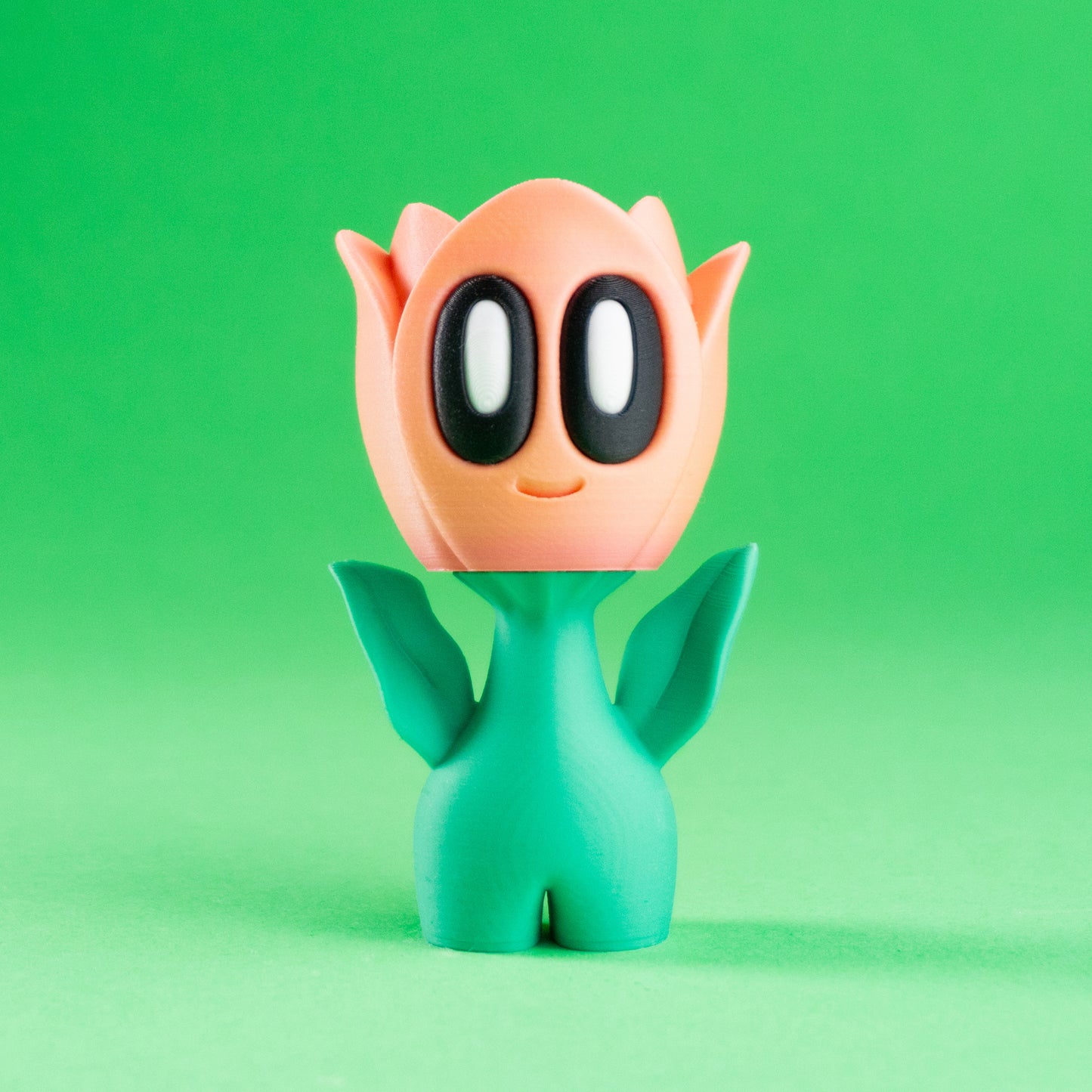 Tulip Friend