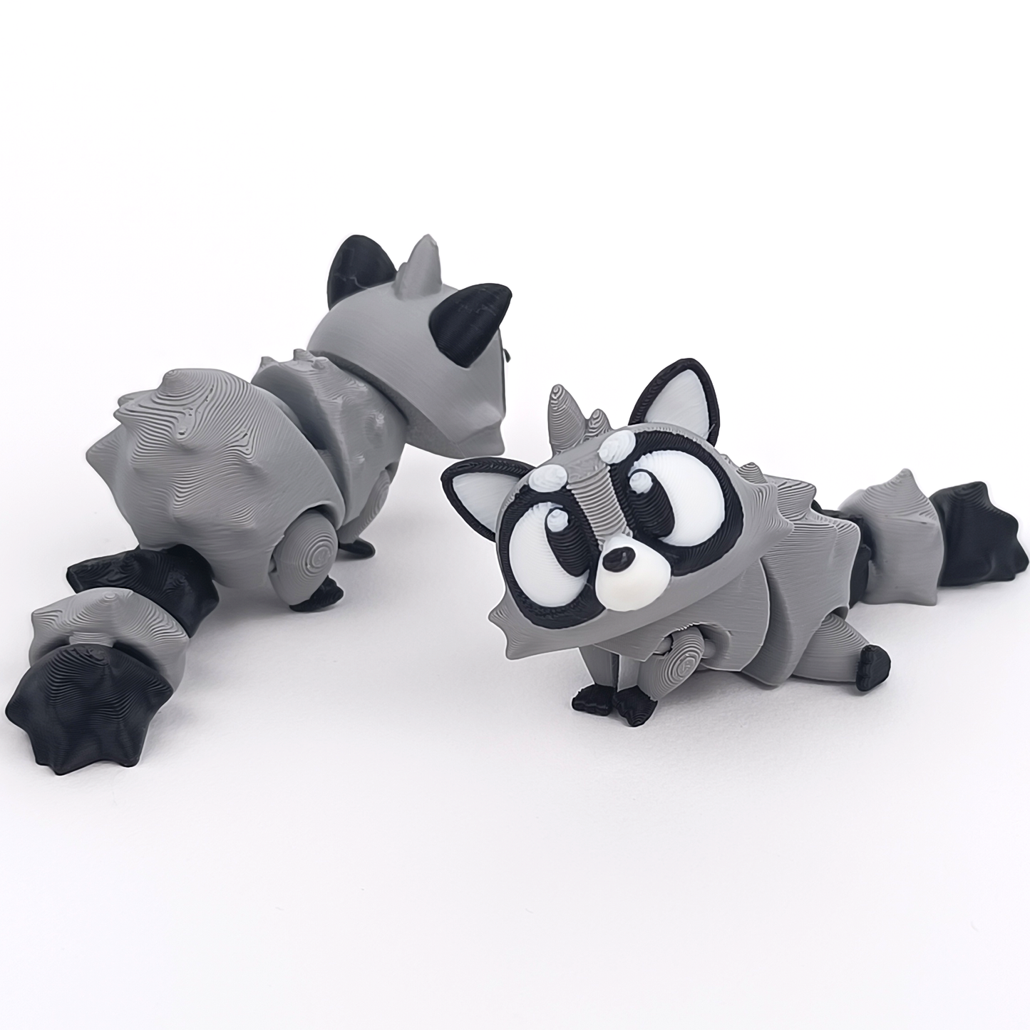 Raccoon Friendz