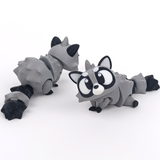 Raccoon Friendz