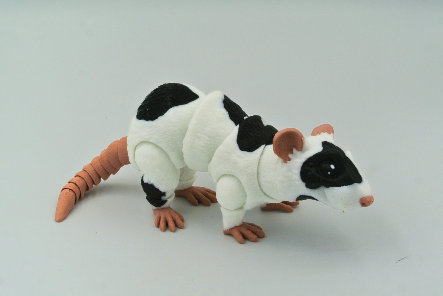 Rat