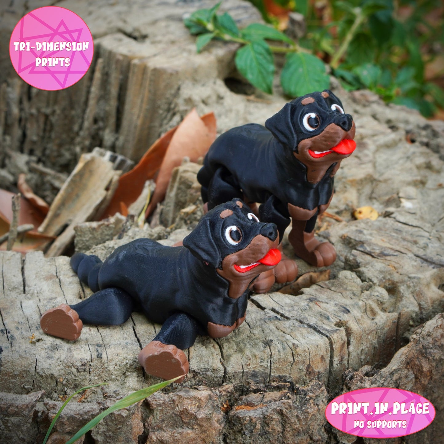 Rottweiler Keychain