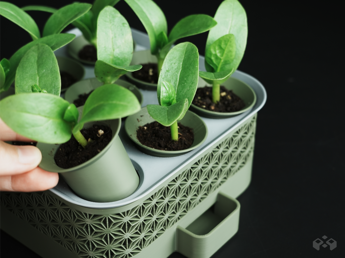 Self Watering Seed Starter