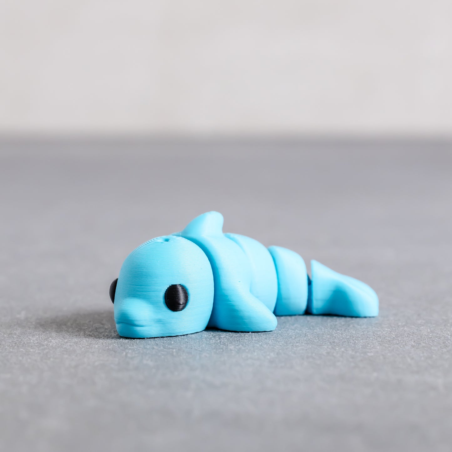Dolphin