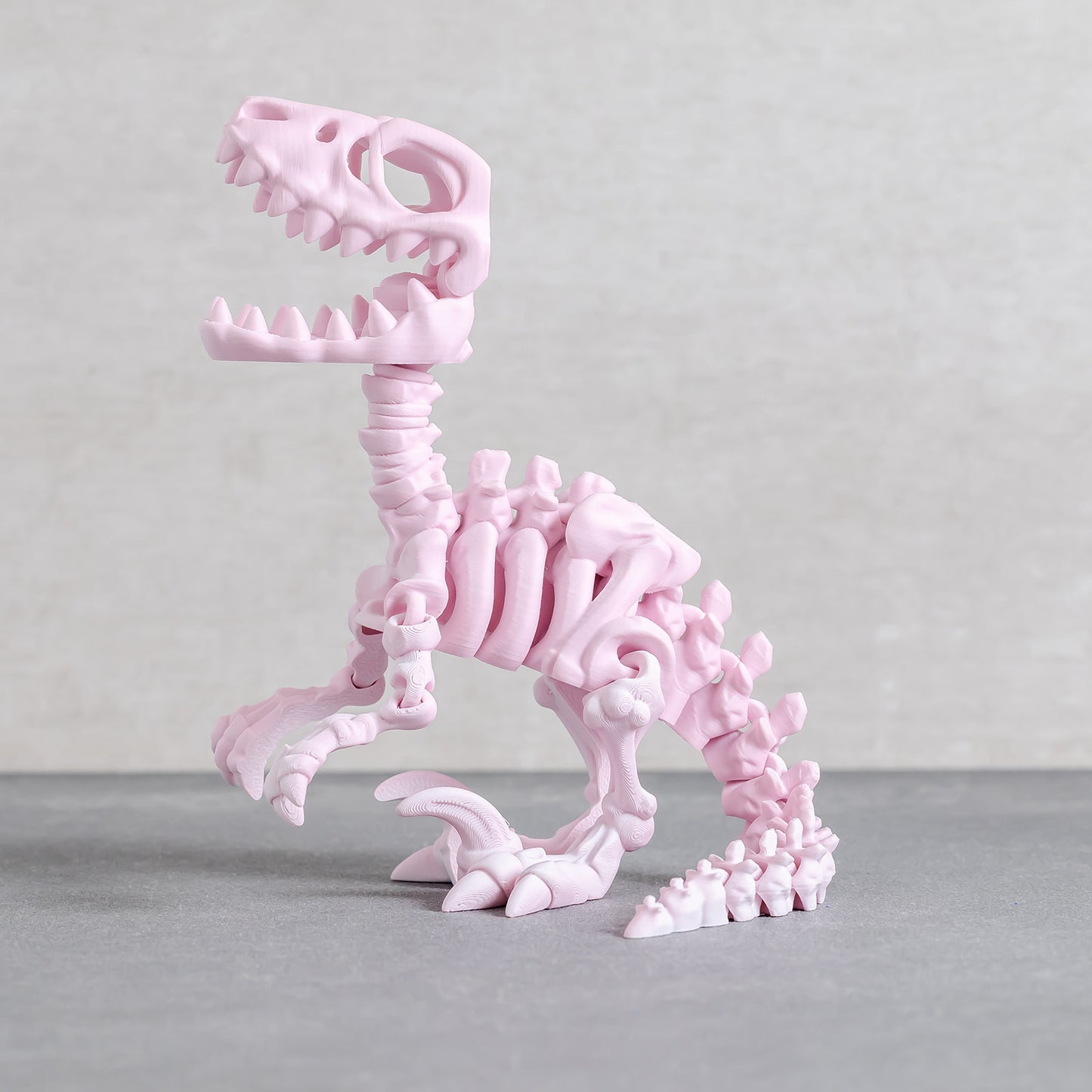 Flexi Raptor Skeleton