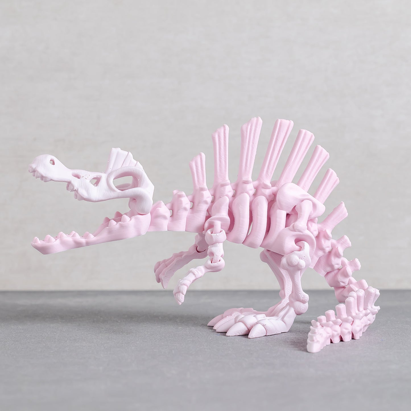 Flexi Spinosaurus Skeleton
