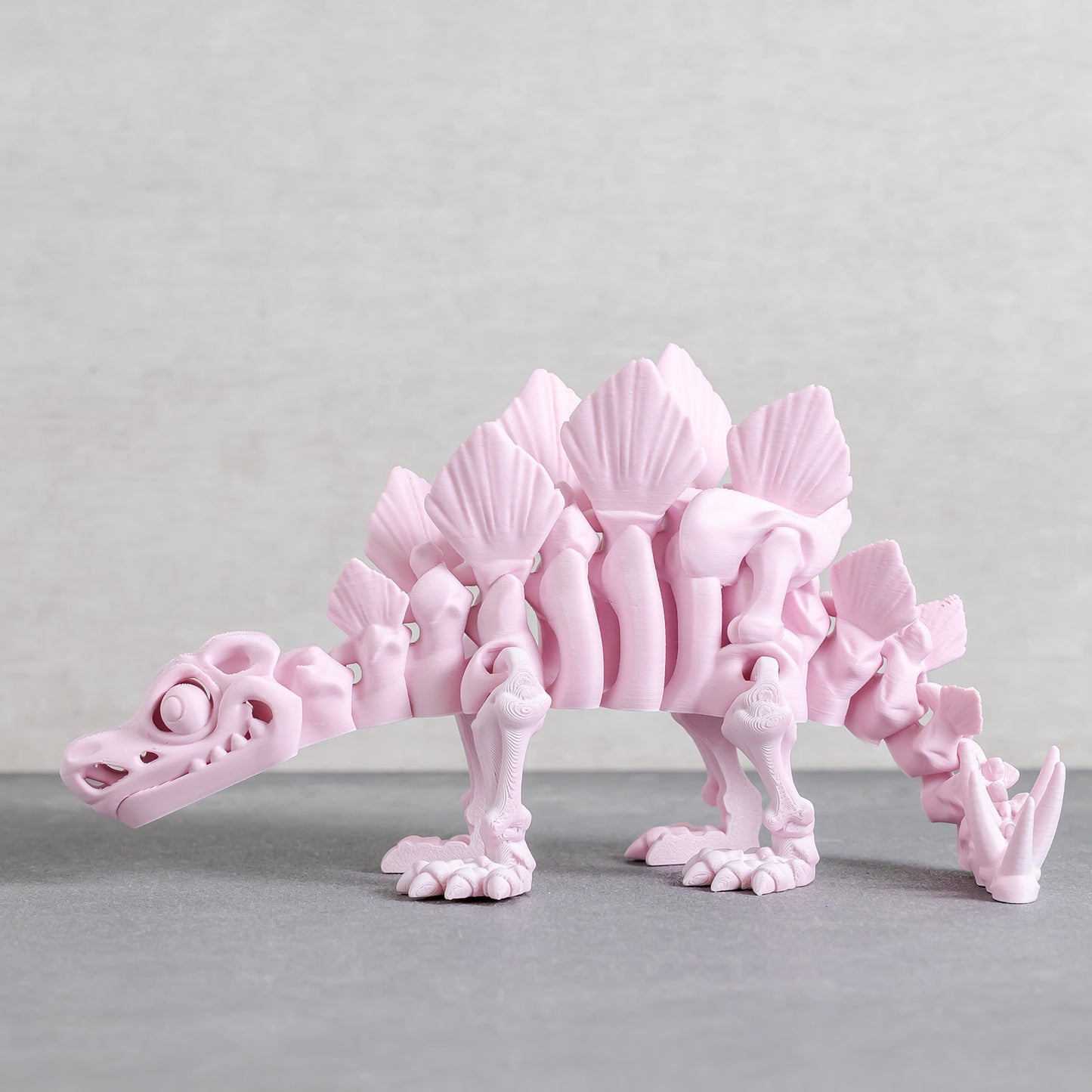 Flexi Stegosaurus Skeleton