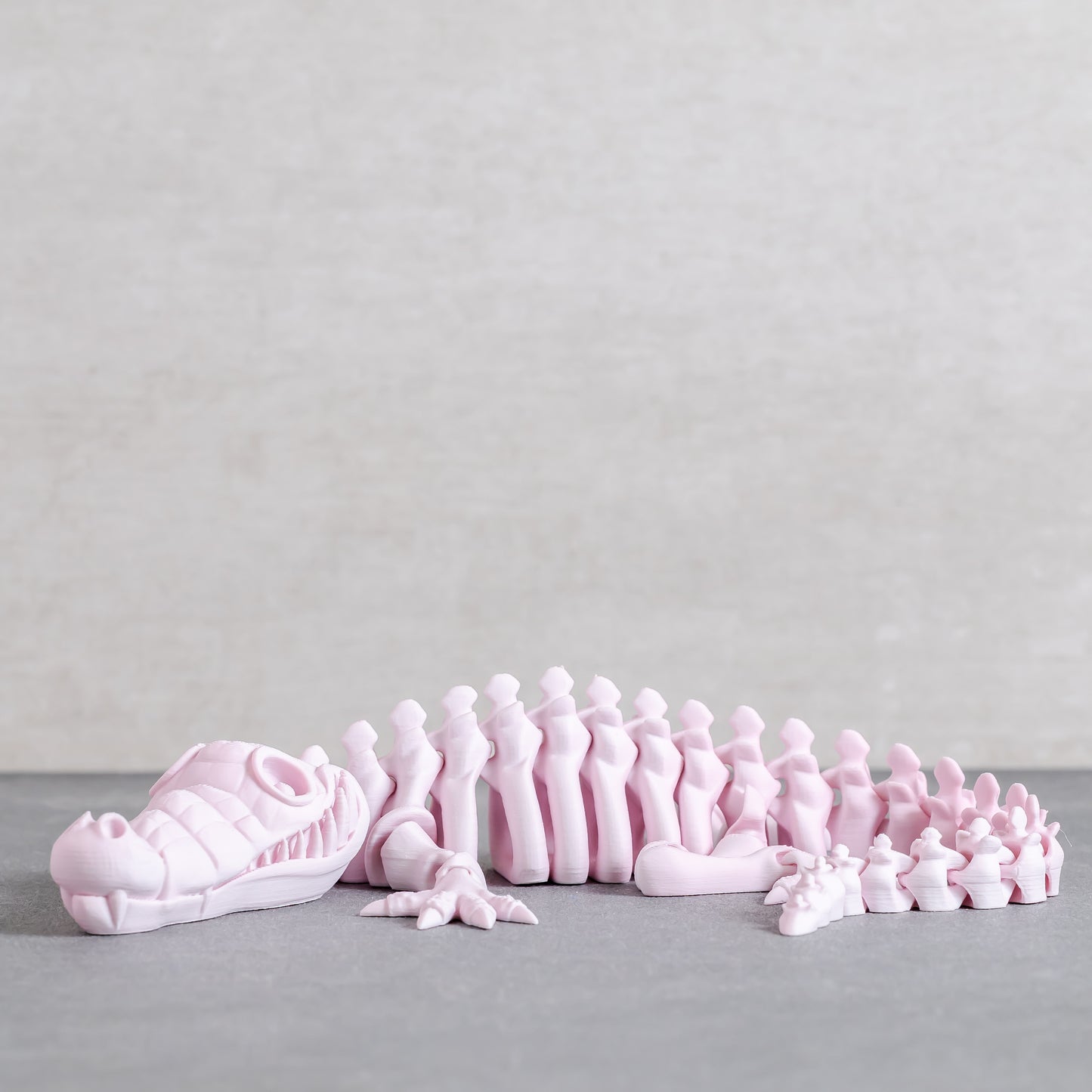 Flexi Crocodile Skeleton
