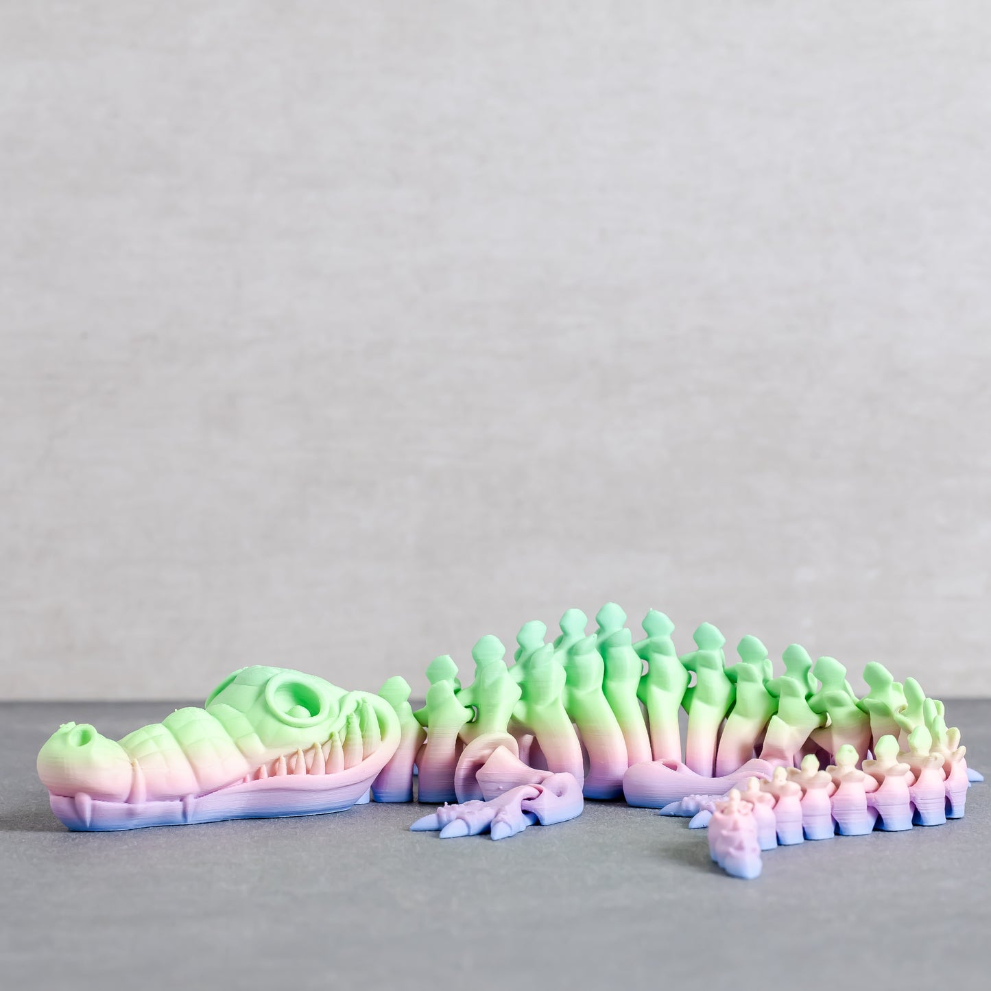Flexi Crocodile Skeleton