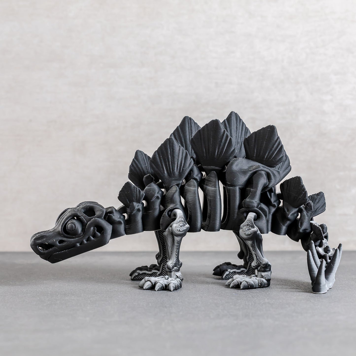 Flexi Stegosaurus Skeleton