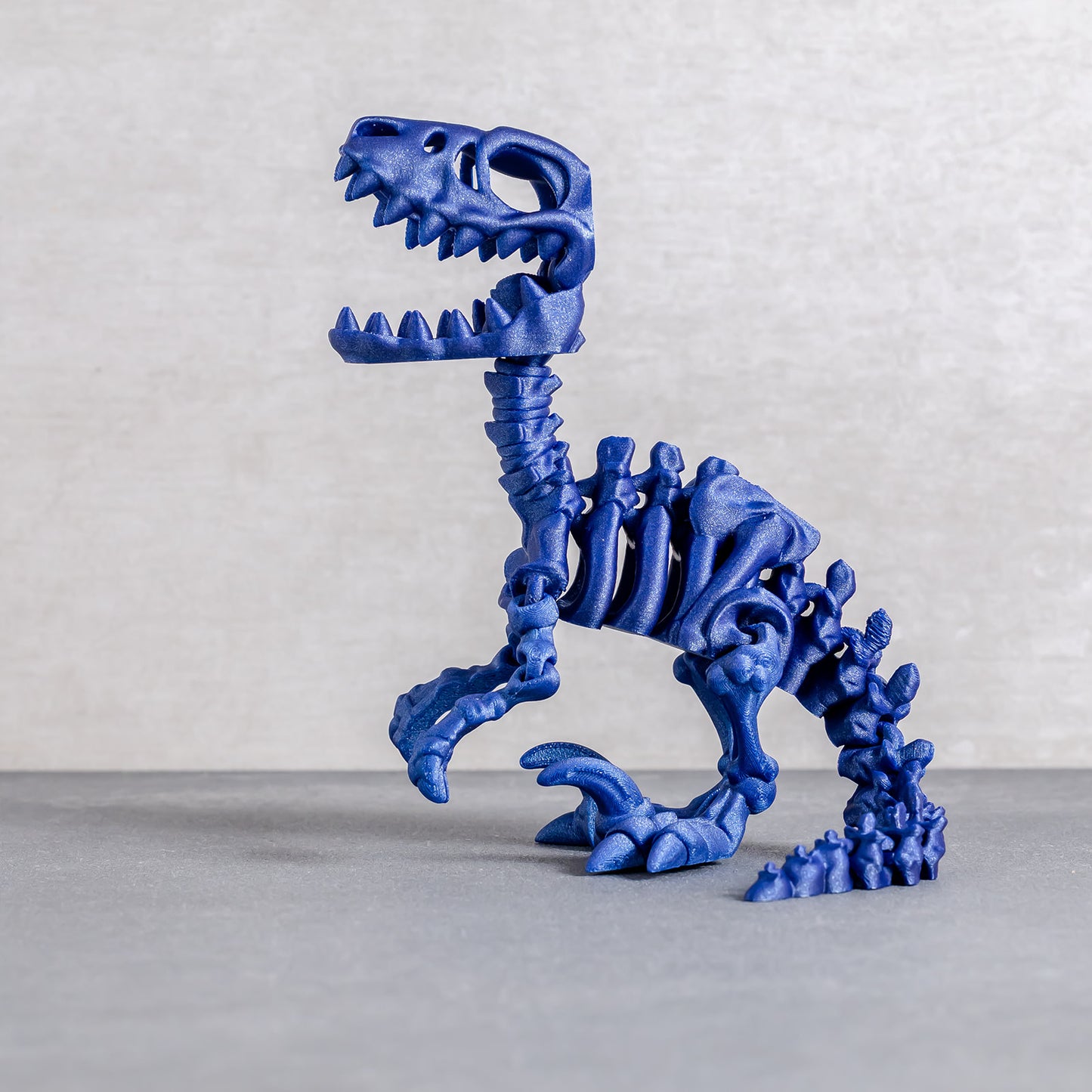 Flexi Raptor Skeleton
