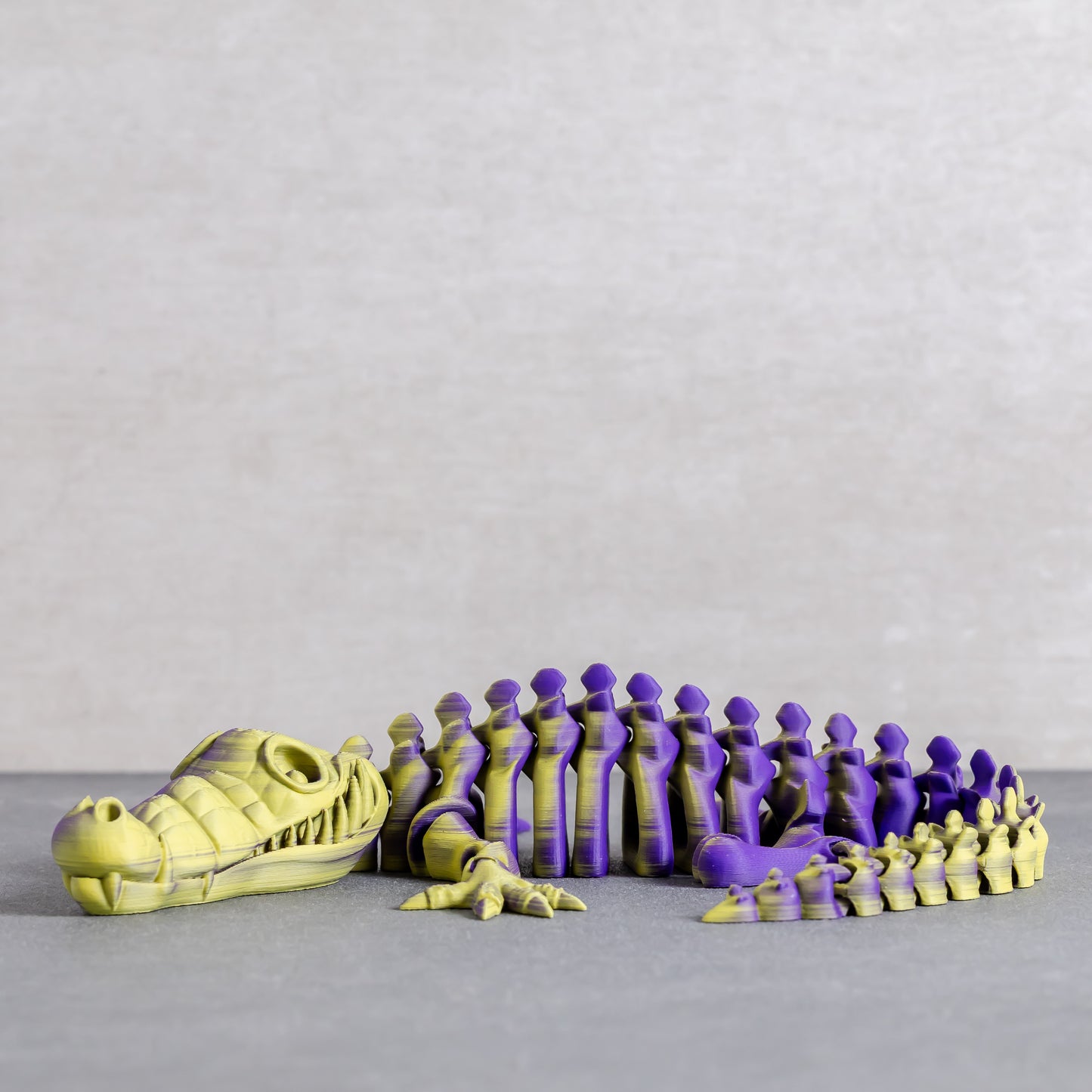 Flexi Crocodile Skeleton