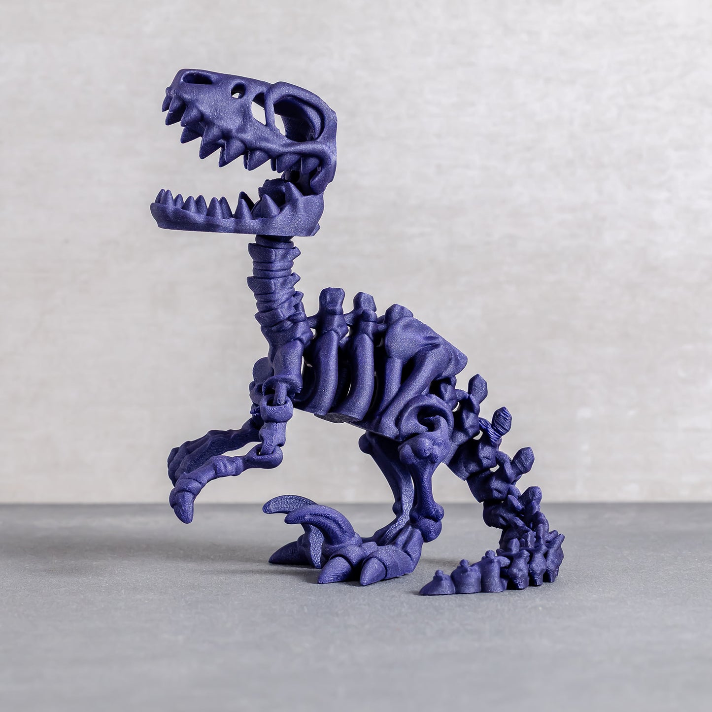 Flexi Raptor Skeleton