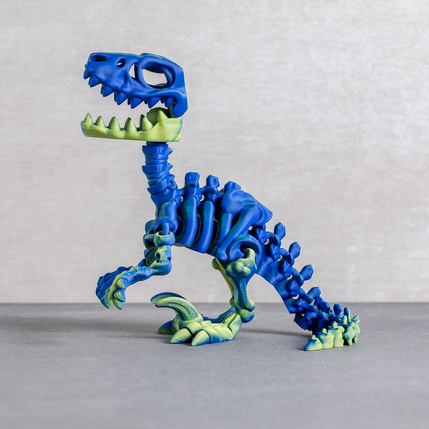 Flexi Raptor Skeleton