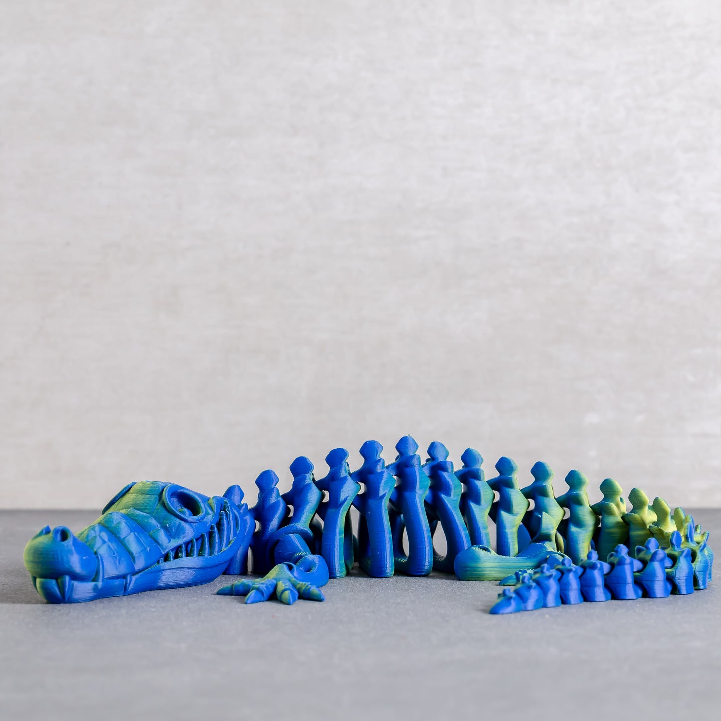 Flexi Crocodile Skeleton