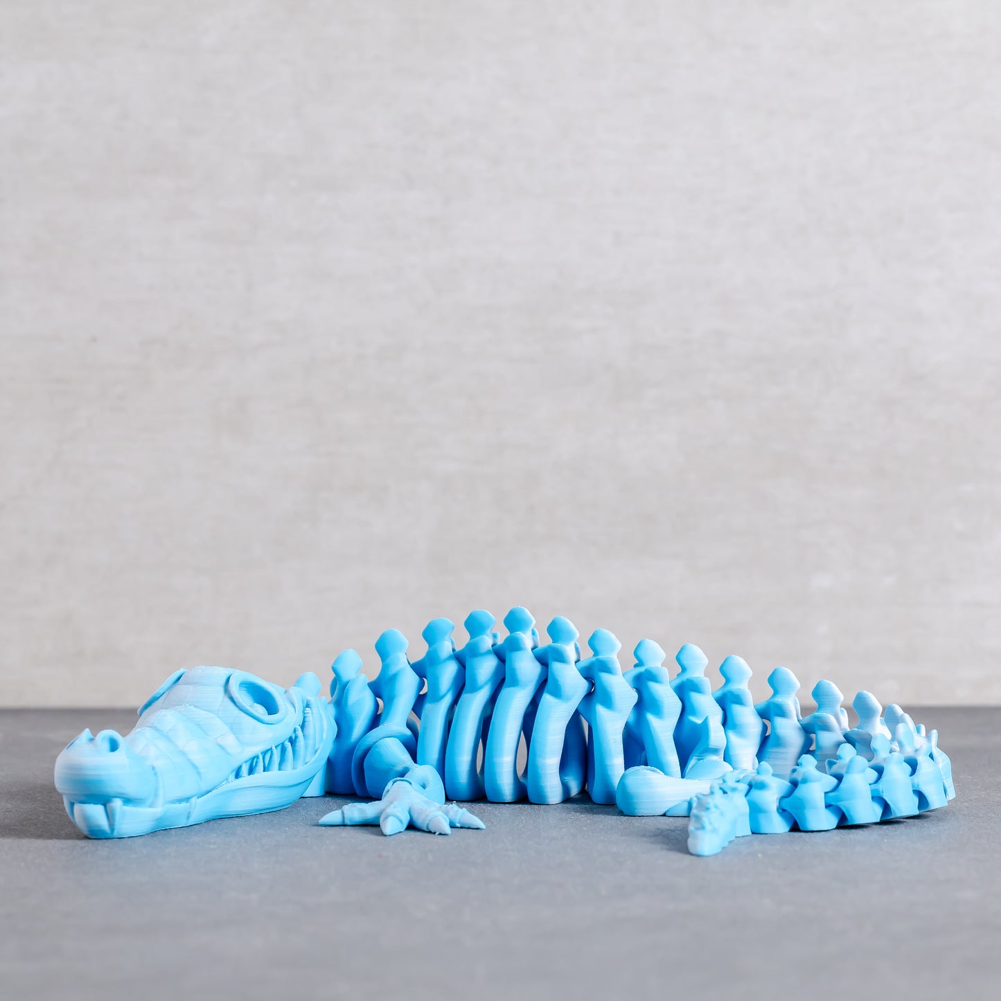 Flexi Crocodile Skeleton