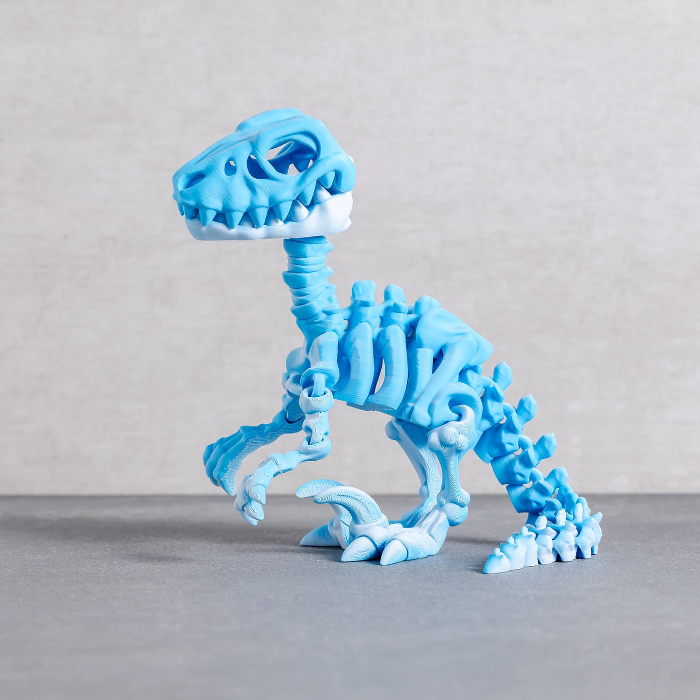 Flexi Raptor Skeleton