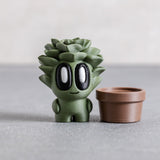Succulent Friend