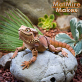 Bearded Dragon