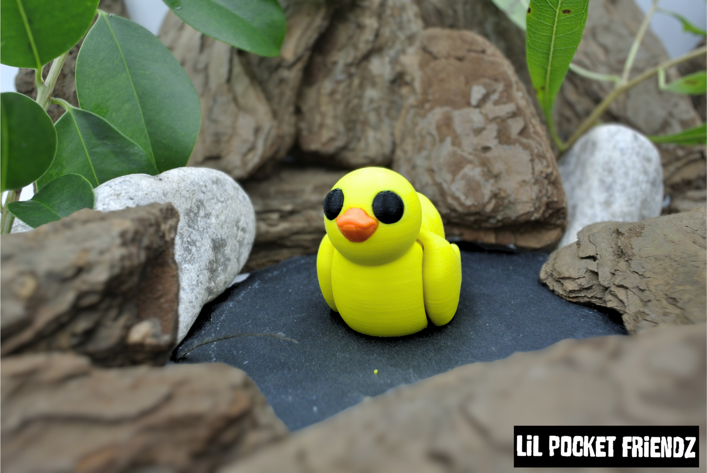 Duck