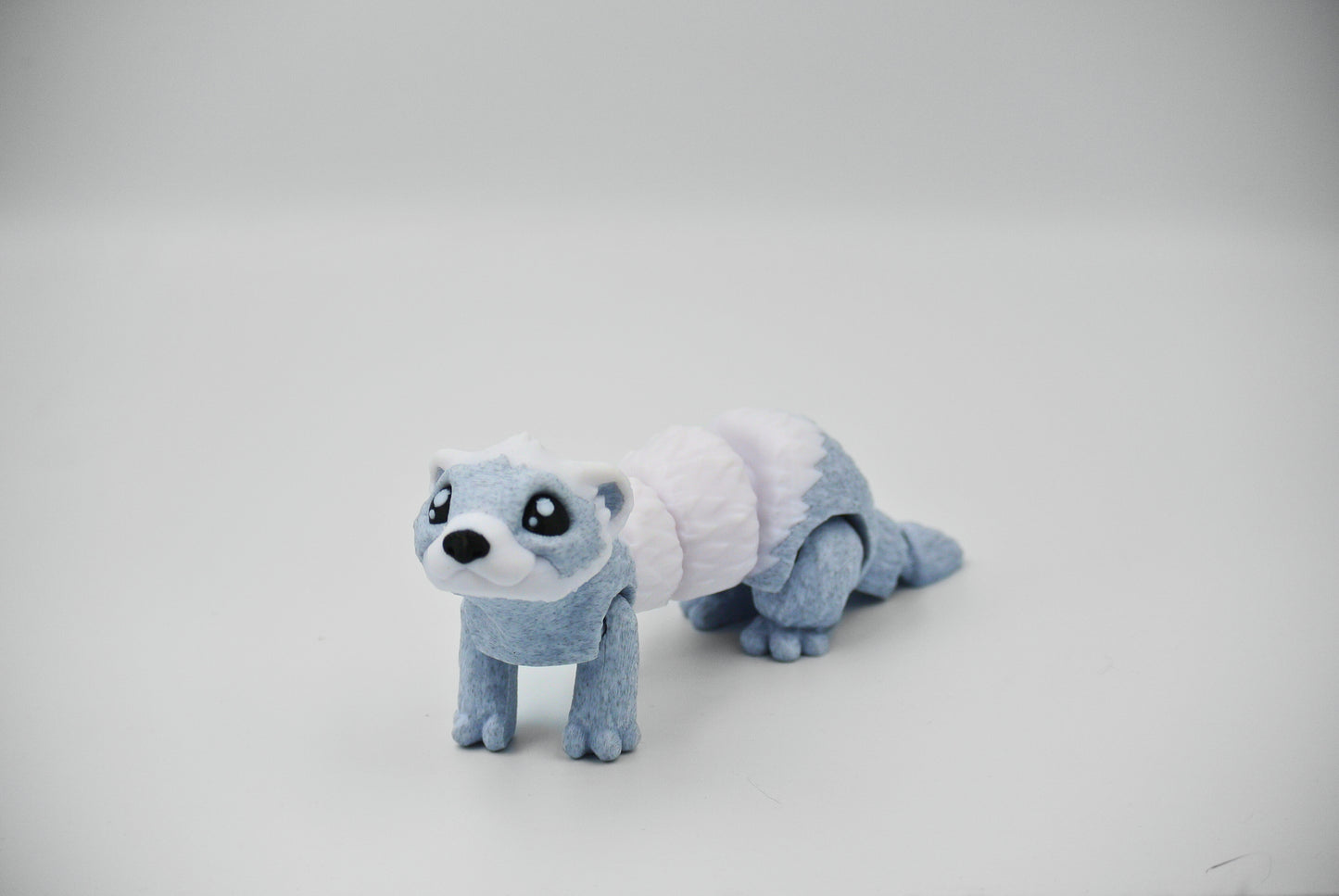 Ferret