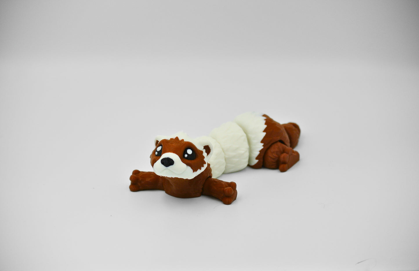 Ferret