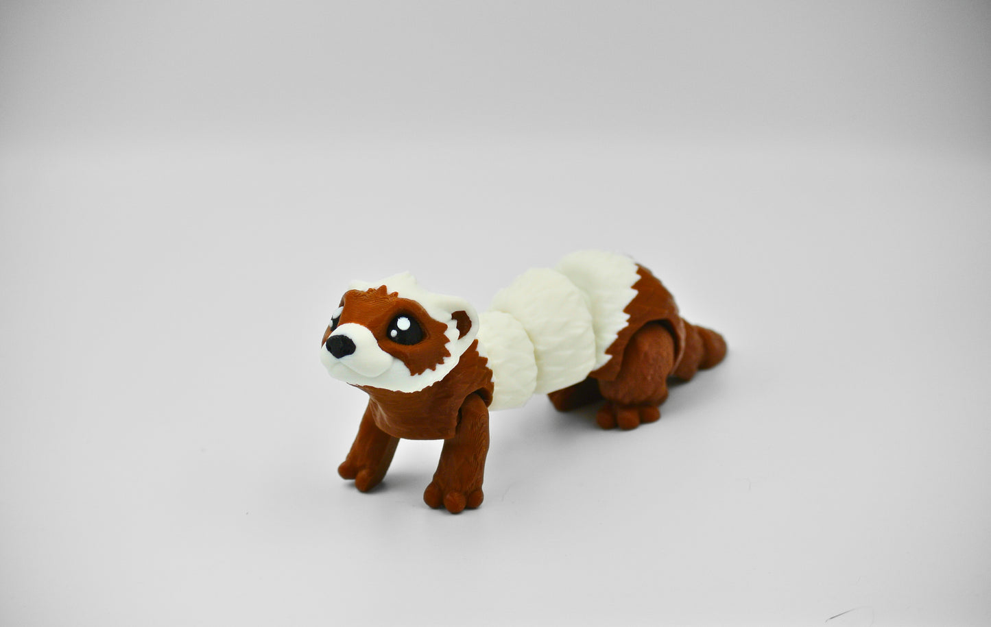 Ferret