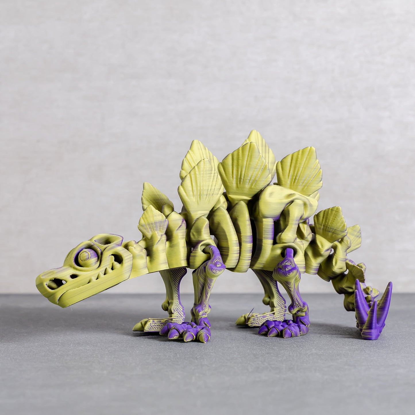 Flexi Stegosaurus Skeleton
