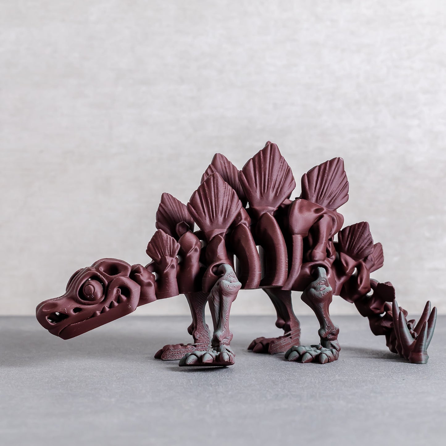 Flexi Stegosaurus Skeleton