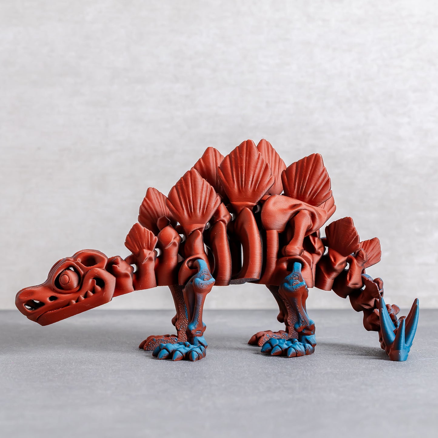 Flexi Stegosaurus Skeleton
