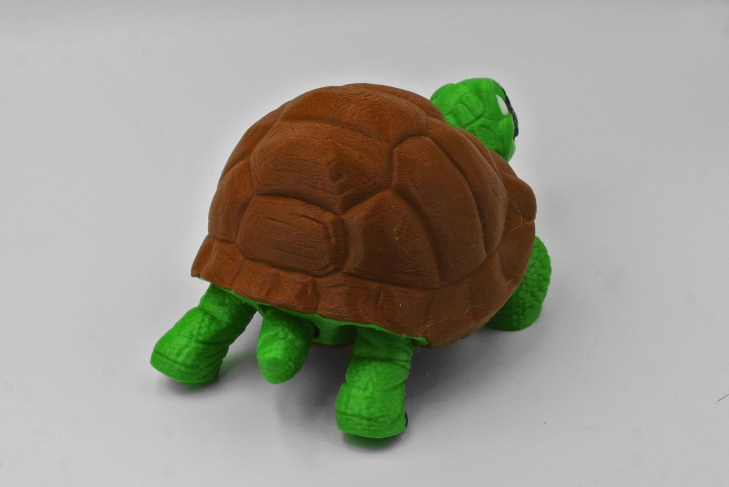 Turtle