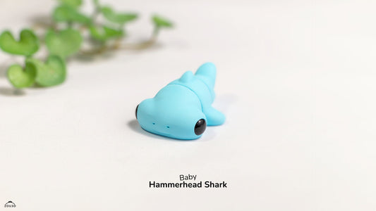 Hammer Head Shark