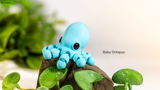 Octopus
