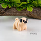 Pug