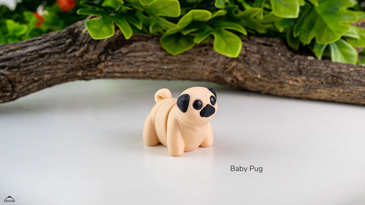 Pug
