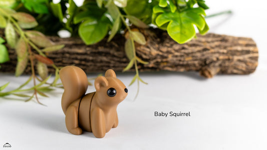 Squirrel