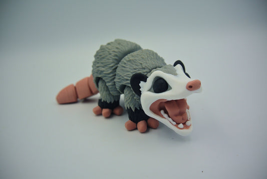Opposum