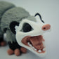 Opposum