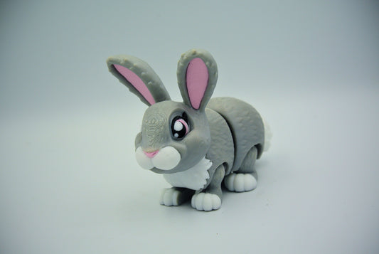 Bunny