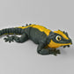Gargoyle Gecko